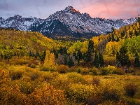 Jesień, Stany Zjednoczone, Mount Sneffels, Roślinność, Góra, Kolorado, Drzewa