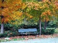 Park, Jesień, Ławeczka