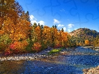 Rzeka, Jesień, Wzgórze