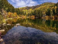 Wzgórza, Stan Kolorado, Drzewa, Stany Zjednoczone, Jezioro Lizard Lake, Jesień