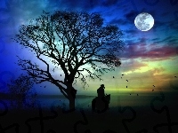 Księżyc, Jeździec, Drzewo