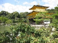 Jeziorko, Kioto, Złoty, Pawilon, Roślinność