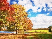 Jezioro, Drzewa, Jesień, Łąki, Chmury
