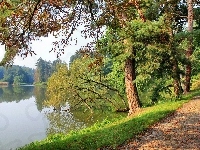 Droga, Jezioro, Drzewa