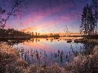 Jezioro Haukkajarvi, Gmina Ruovesi, Zachód słońca, Finlandia, Park Narodowy Helvetinjarvi, Drzewa