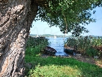 Jezioro, Wierzba, Kora, Łódki