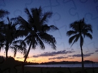 Jezioro, Zachód Słońca, Palmy, Australia