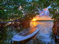 Deska surfingowa, Stany Zjednoczone, Lake Worth Lagoon, Zachód słońca, Jezioro, Floryda, Drzewa