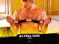Justin Timberlake, Alpha Dog, sztanga