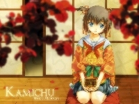 japonia, osoba, Kamichu