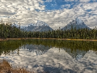 Odbicie, Jezioro, Góry, Lake Reflections, Brązowa, Park Narodowy Jasper, Kanada, Drzewa, Trawa
