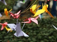 Kartki, Origami, Kolorowe, Ptaki