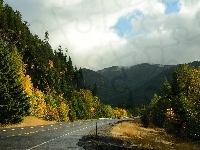Stan Oregon, Drzewa, Jesień, Las, Stany Zjednoczone, Droga, Góry Kaskadowe