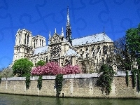 Paryż, Katedra, Notre Dame, Francja