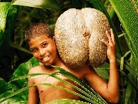 Kokosowy, Chłopiec, Orzech, Srilanka