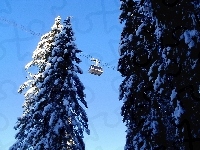 Kolejka, Drzewa, Śnieg, Linowa