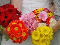 Bukiety, Kolorowe, Kwiatów