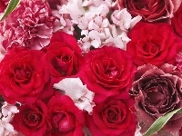 Róże, Kolorowe, Bukiet