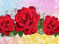 Kolorowe tło, Czerwone, Róże, Grafika