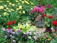 Kolorowe, Budka, Ogród, Różne, Kwiatki