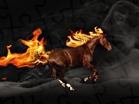 Galop, Koń, Ogień