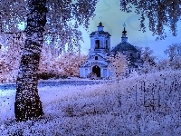 Drzewa, Kościół, Zima