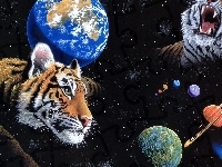 Kosmos, Tygrysy, Planety, William Schimmel