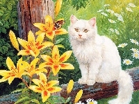 Żółte, Biały, Kot, Lilie