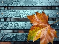 Krople, Jesienny, Liść, Deszczu