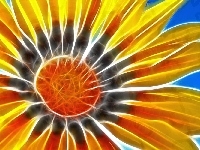 Słonecznika, Kwiat, 3D