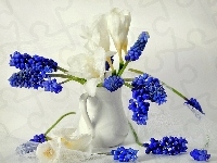 Kwiaty, Niebieskie, Białe, Wazon