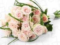 Bukiet, Kwiaty, Róż