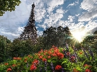 Kwiaty, Wieża Eiffla, Paryż