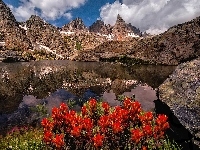 Jezioro Minaret Lake, Stan Kalifornia, Kwiaty, Stany Zjednoczone, Góry Sierra Nevada, Czerwone
