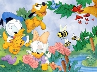 kwiaty, owady, Kaczor Donald