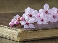 Książka, Kwiaty wiśni