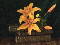 Lilie, Kwiaty, Książki