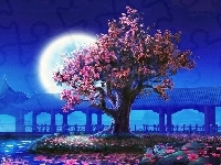 Drzewo, Kwitnące, Księżyc