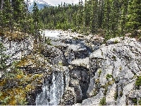 Prowincja Alberta, Las, Rzeka, Góry, Kanada, Park Narodowy Banff, Mistaya Canyon