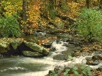 Las, Rzeka, Kamienie, Jesień
