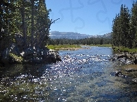 Las, Rzeka, Kamienie, Kalifornia