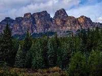 Góra Castle Mountain, Park Narodowy Banff, Drzewa, Kanada, Góry, Las