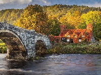Most, Las, Rzeka, Jesień, Drzewa