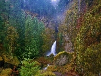 Las, Oregon, Wodospad, Skały, Wahclella