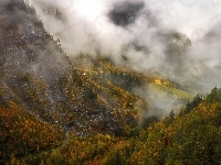 Lasy, Mgła, Droga, Jesień, Góry, Drzewa