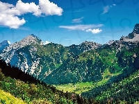 Lasy, Dolina, Tyrol, Góry, Łąki
