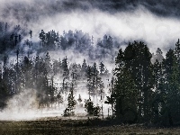 Mgły, Lasy, Góry