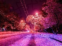 Ulica, Latarnie, Śnieg, Światła, Zima, Drzewa, Noc