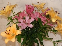Lilie, Żółte, Różowe, Bukiet