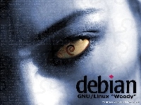 muszla, Linux Debian, rzęsy, zawijas, grafika, ślimak, oko
